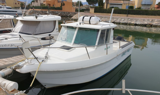 bateau peche promenade occasion